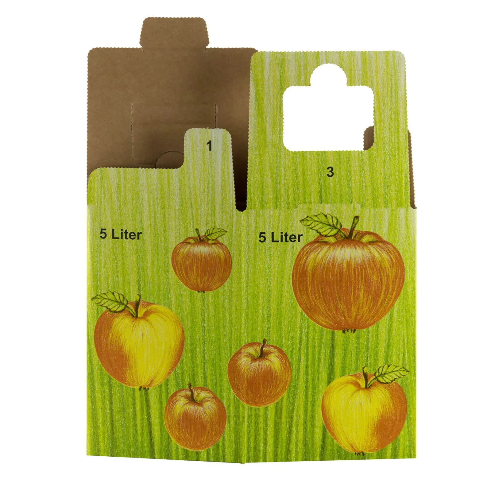 10x Bag in Box Saft-Karton / Faltkarton mit Apfeldekor 5 Liter OHNE SAFTBEUTEL