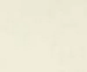 Weichwachs grauweiß RAL 9002