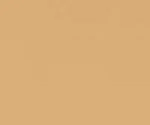 Weichwachs Buche hell