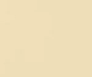 Weichwachs Ahorn hell