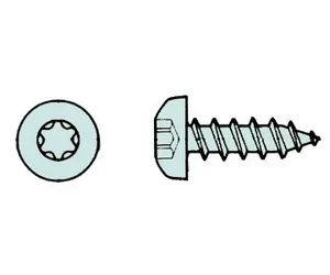 4,5 x 45mm TX20 PAN HEAD Vollgewinde (500 St.)